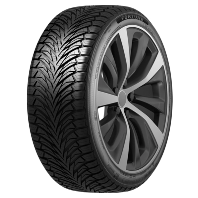 Шина Fortune Fitclime FSR-401 225/60 R17 99V